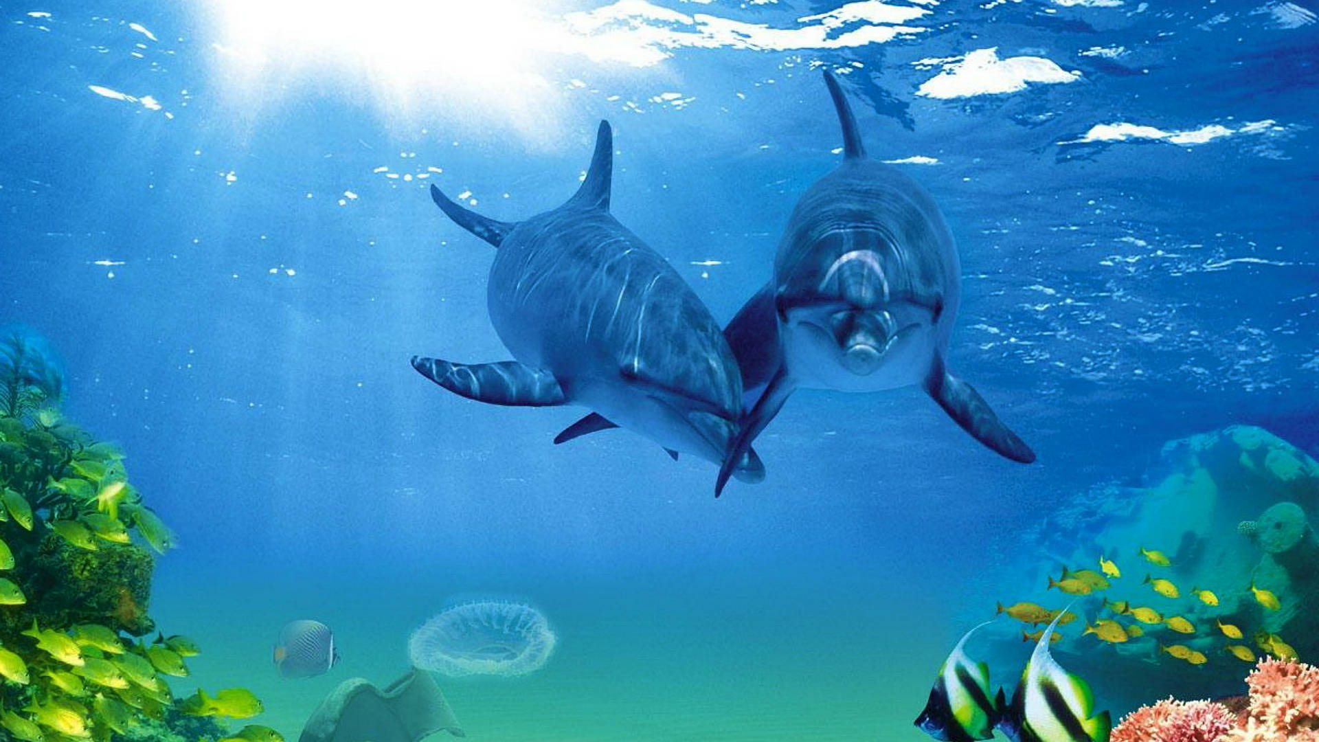 Beautiful Fish Wallpaper For Desktop