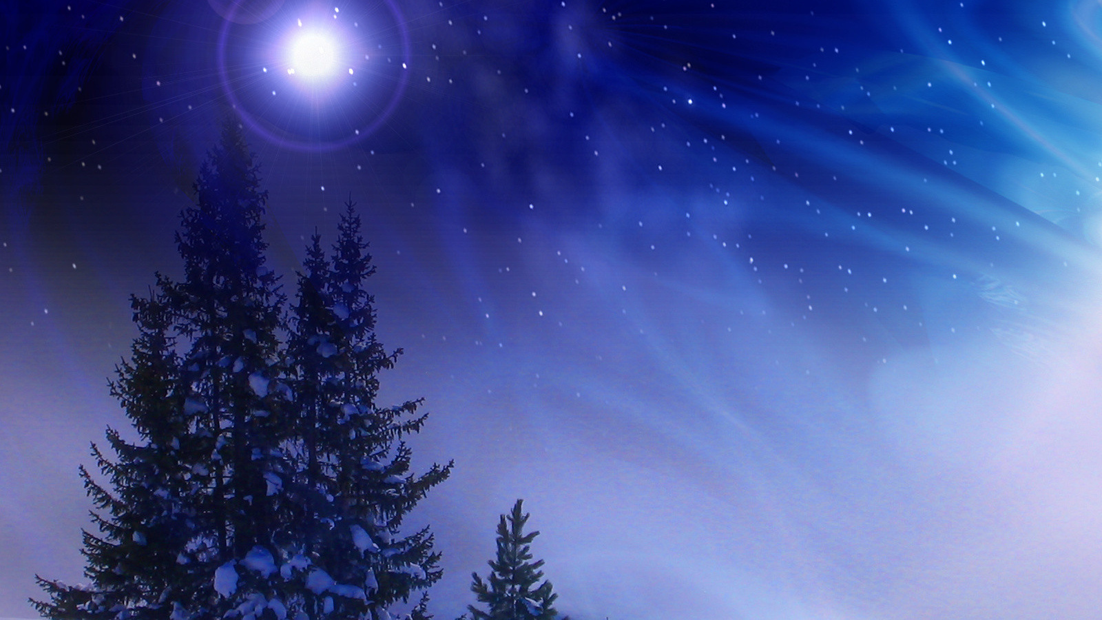 Christmas Winter Night Desktop wallpapers 1600x900