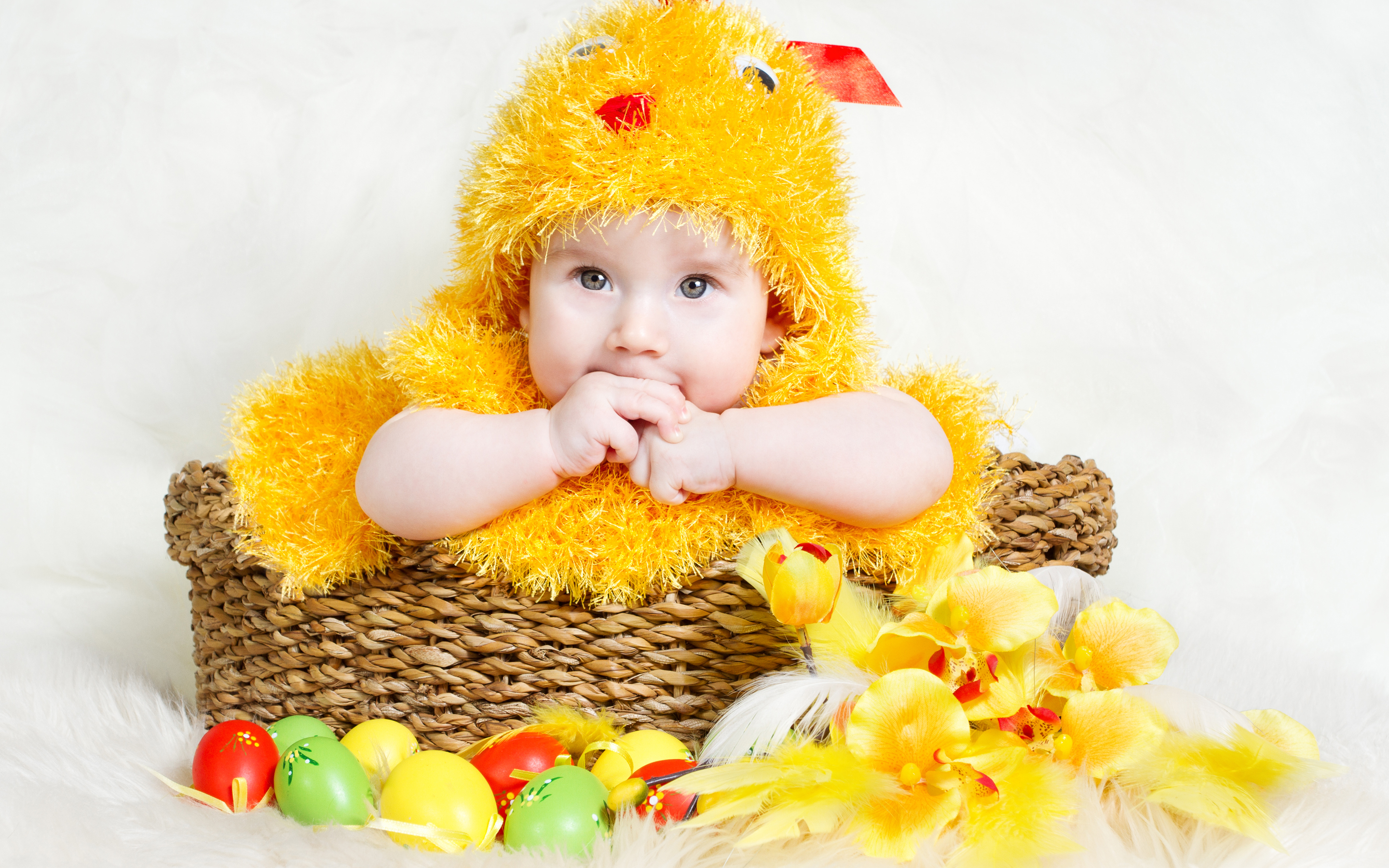 Photography Baby HD Wallpaper
