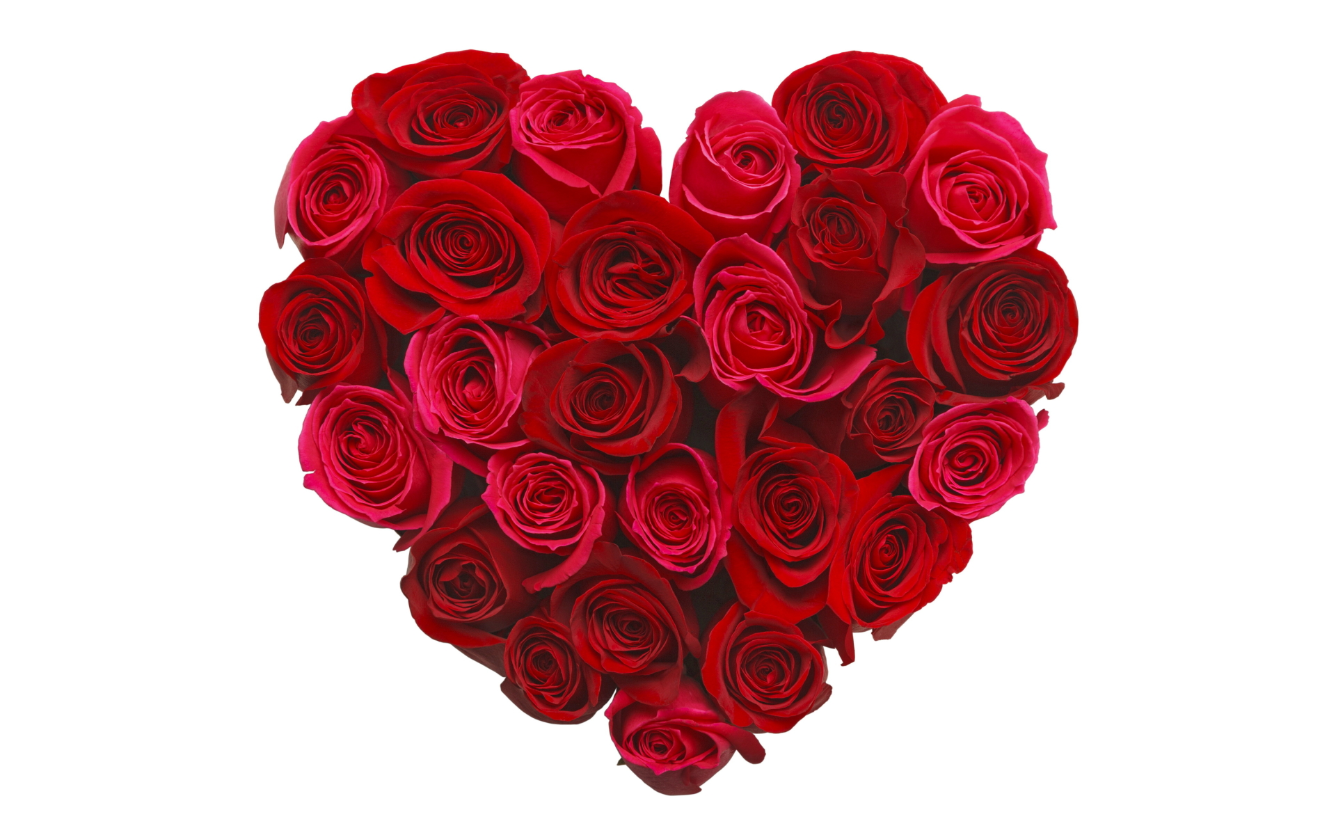 roses heart logo
