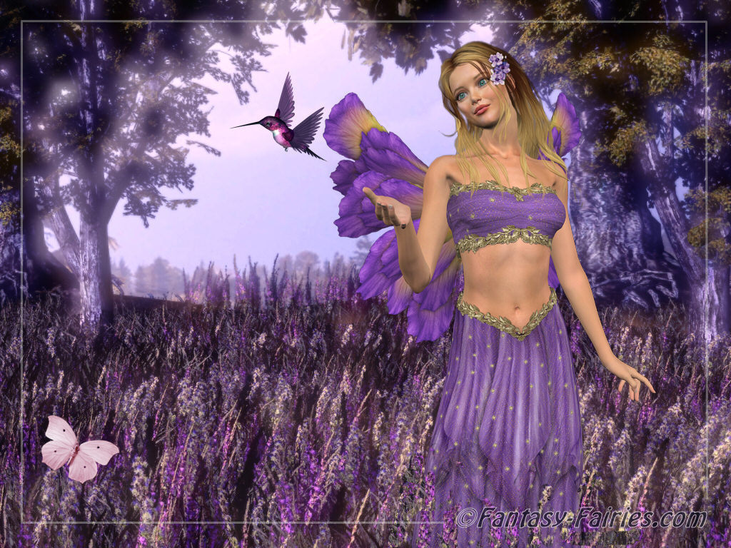 Lavendar Fairy Wallpaper   Fairies Wallpaper 6350130 1024x768