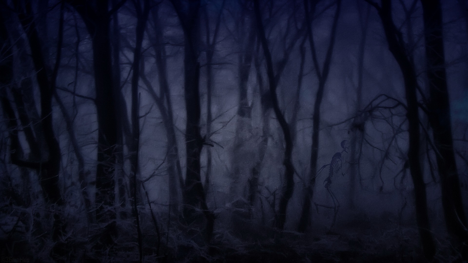 Creepy Forest At Night