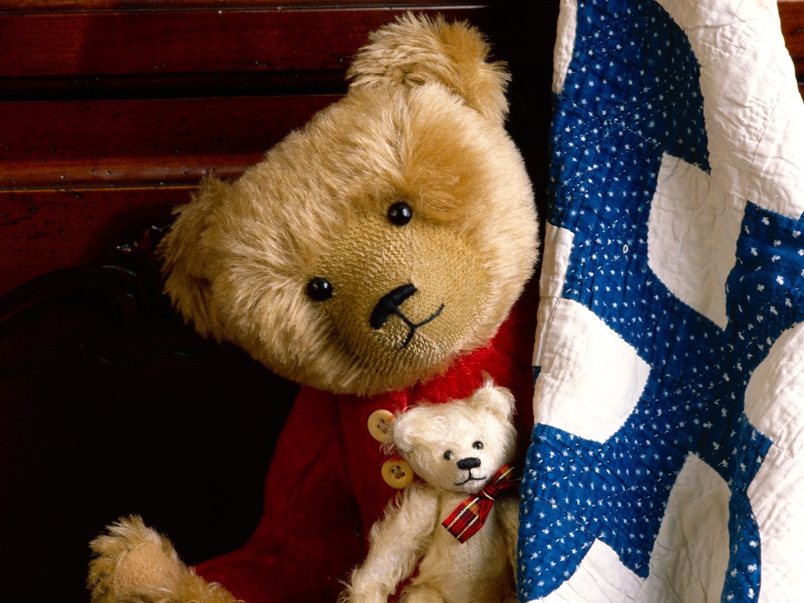 Teddy Bear Wallpaper Misc Desktop