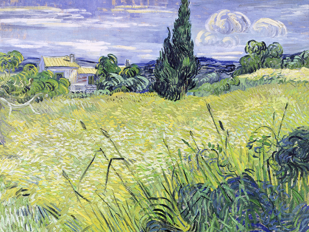Van Gogh Vincent Field