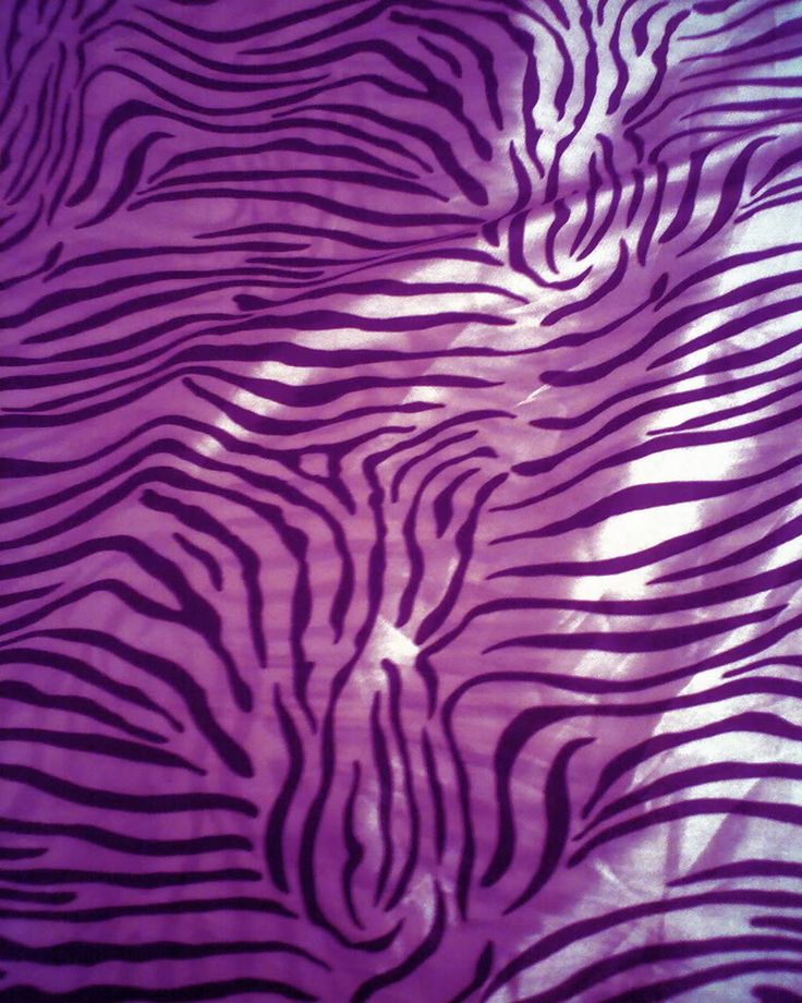 Zebra Print Background Purple Image