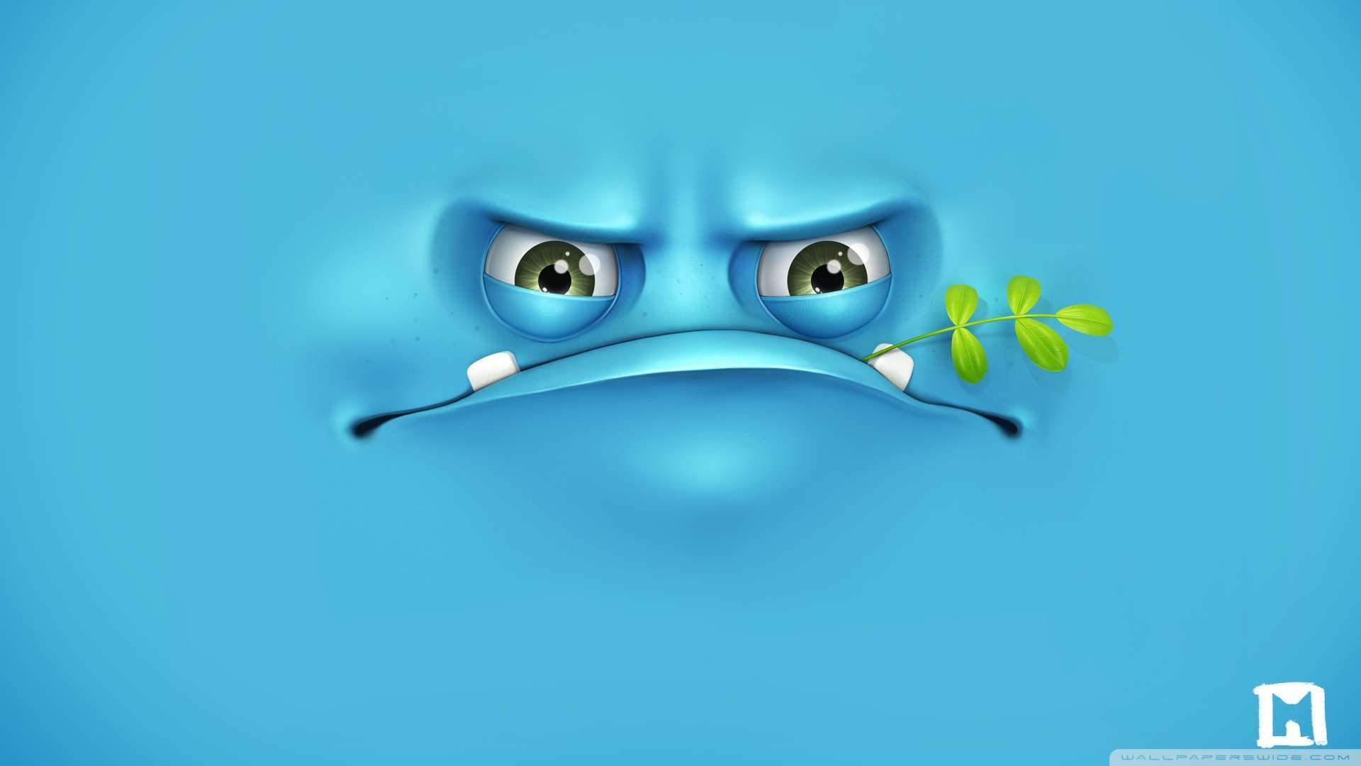 HD Funny Wallpaper 1080p For Windows Themes