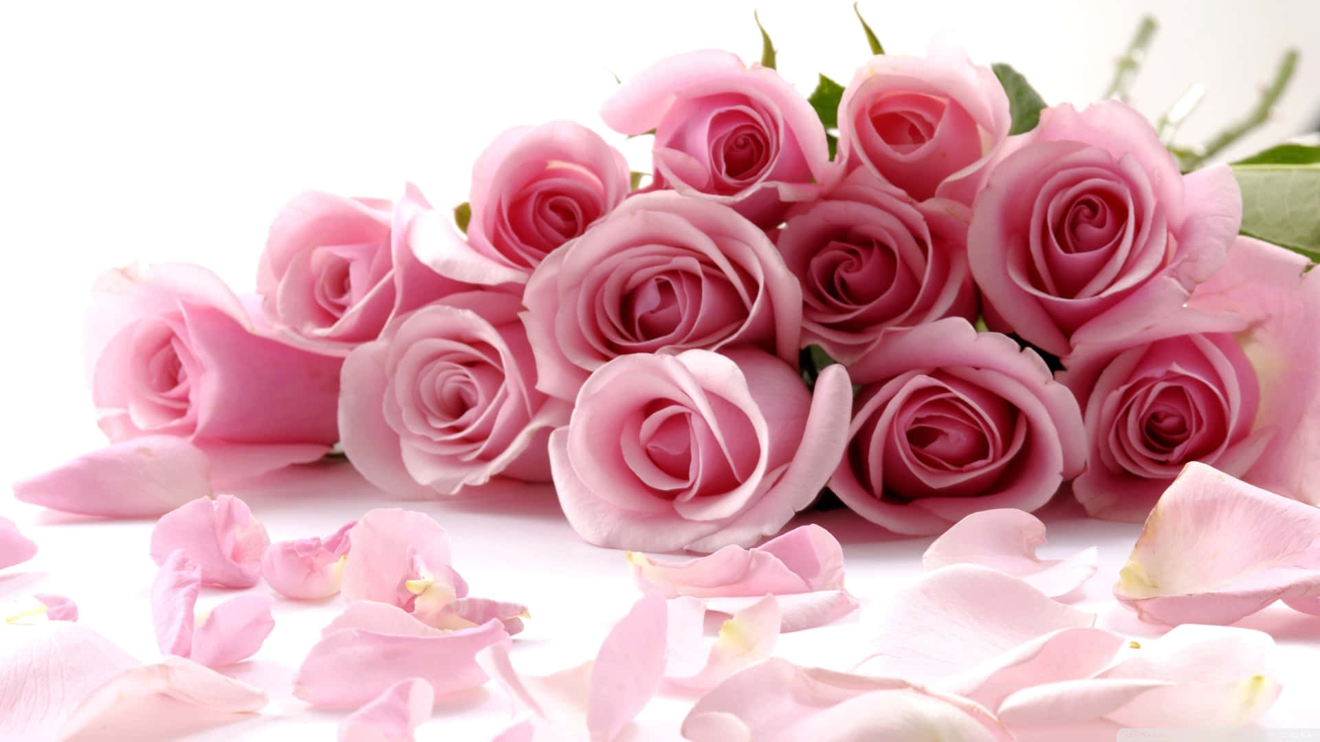 Rose Bouquet And Petals Picture Wallpaper
