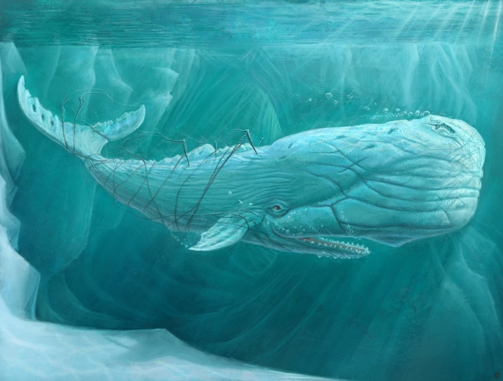 Moby Dick By Tolyanmy