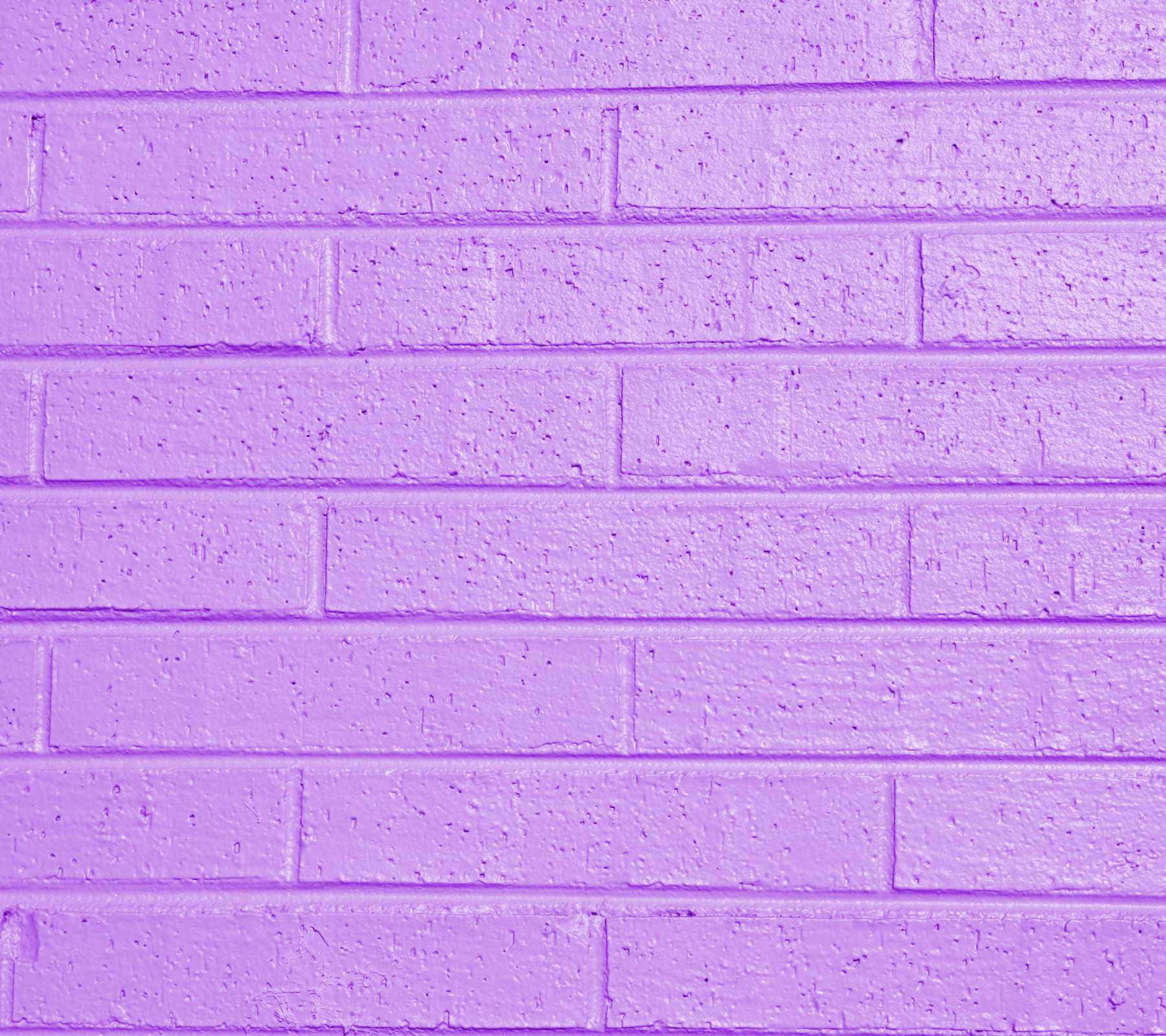 Lilac Color Wallpaper