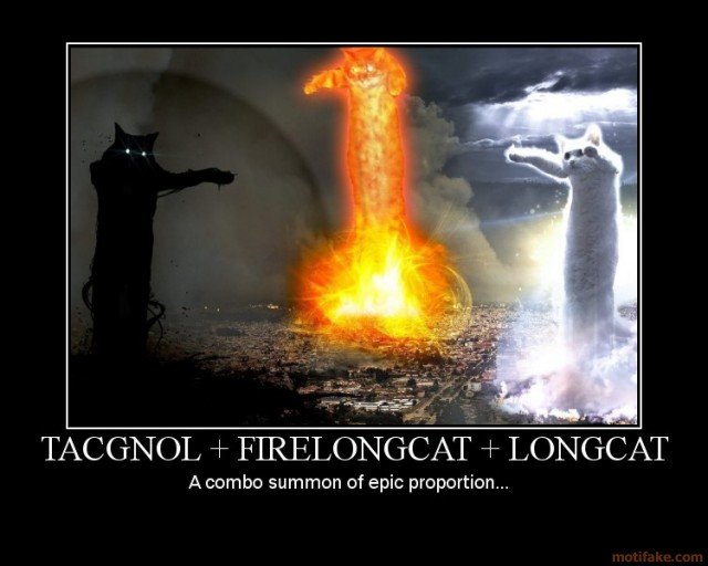 Epic Long Cats Is Cbo Summon Of Proportion