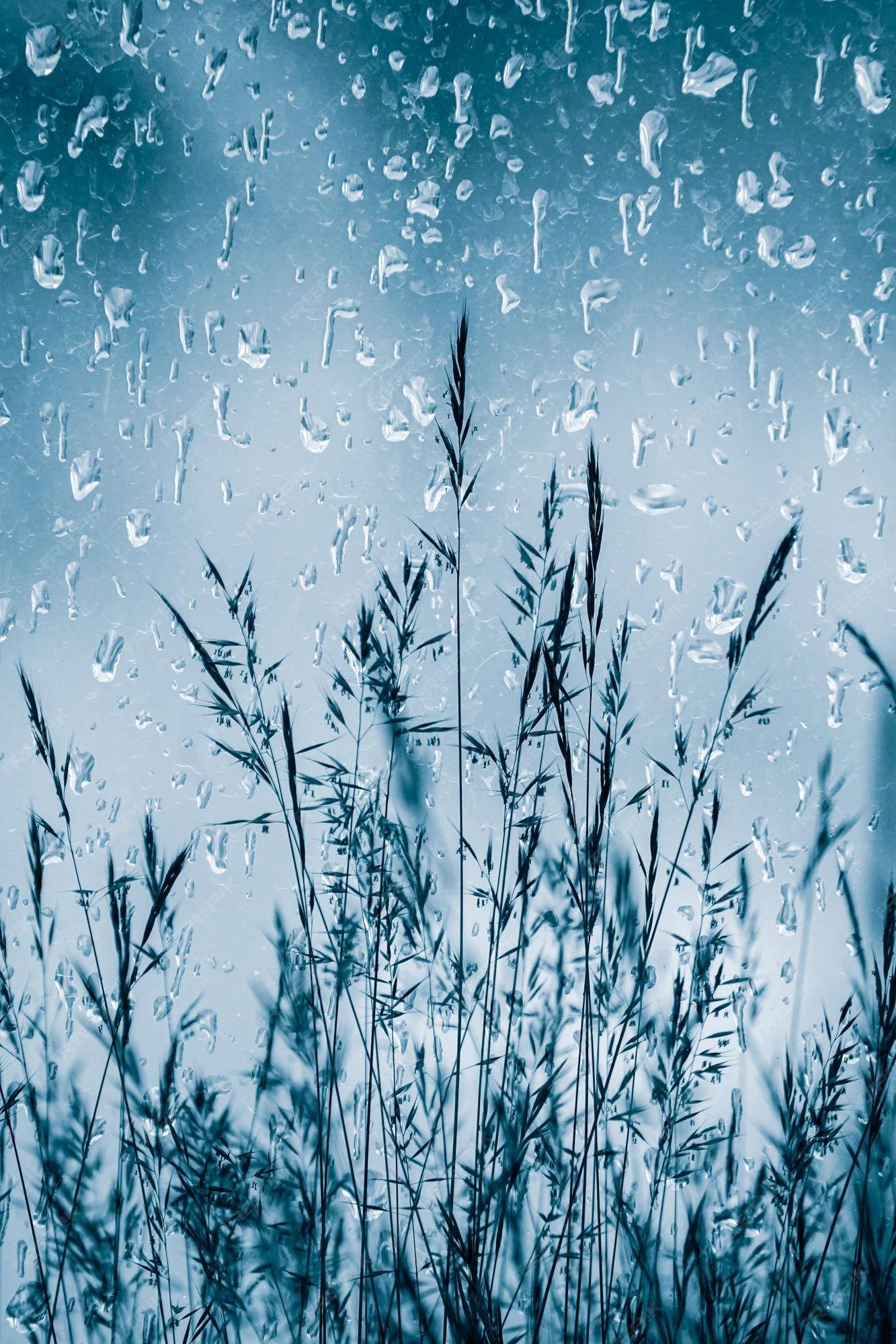 Premium Photo Raindrops And Flowers In Rainy Days Spring Season