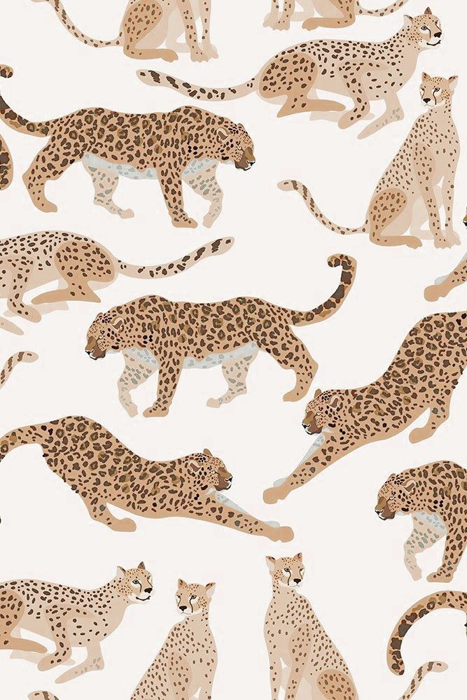 Dani Salveraglio On Guardados Wallpaper