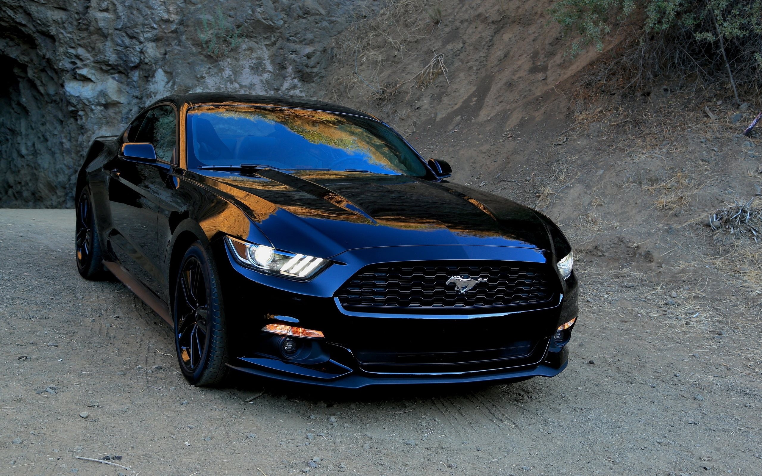 Ford Mustang Black Front Sports Stock Photos Image