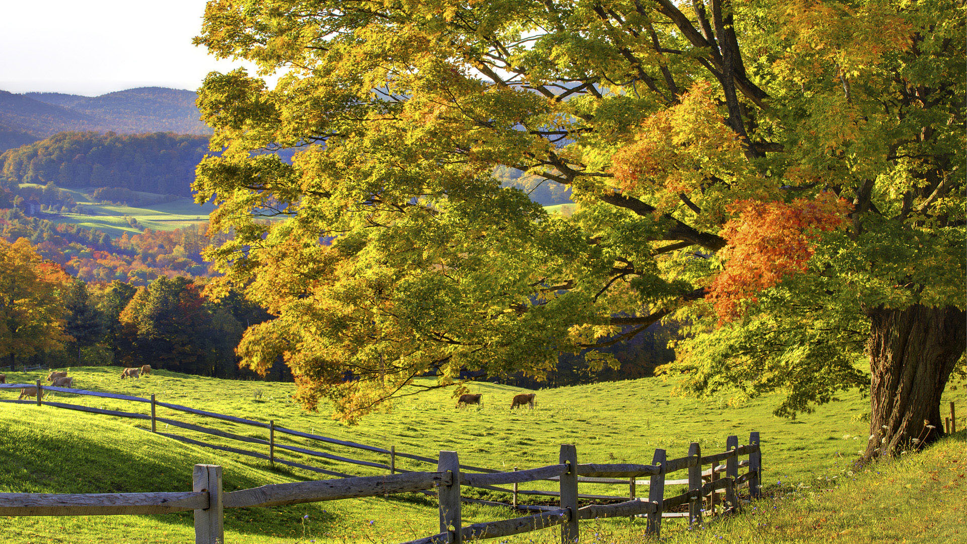 Beautiful Landscape Wallpaper