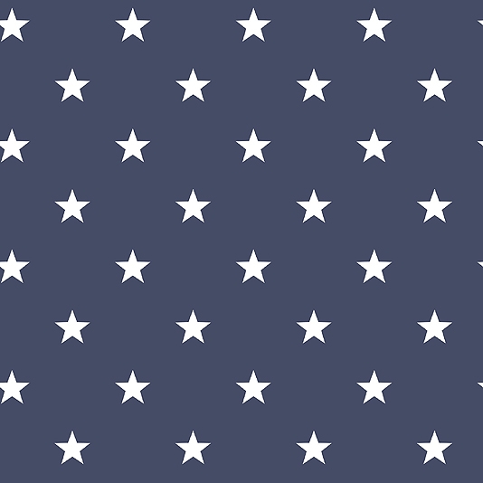 Wallpaper An Navy Blue With All Over Star Design In White