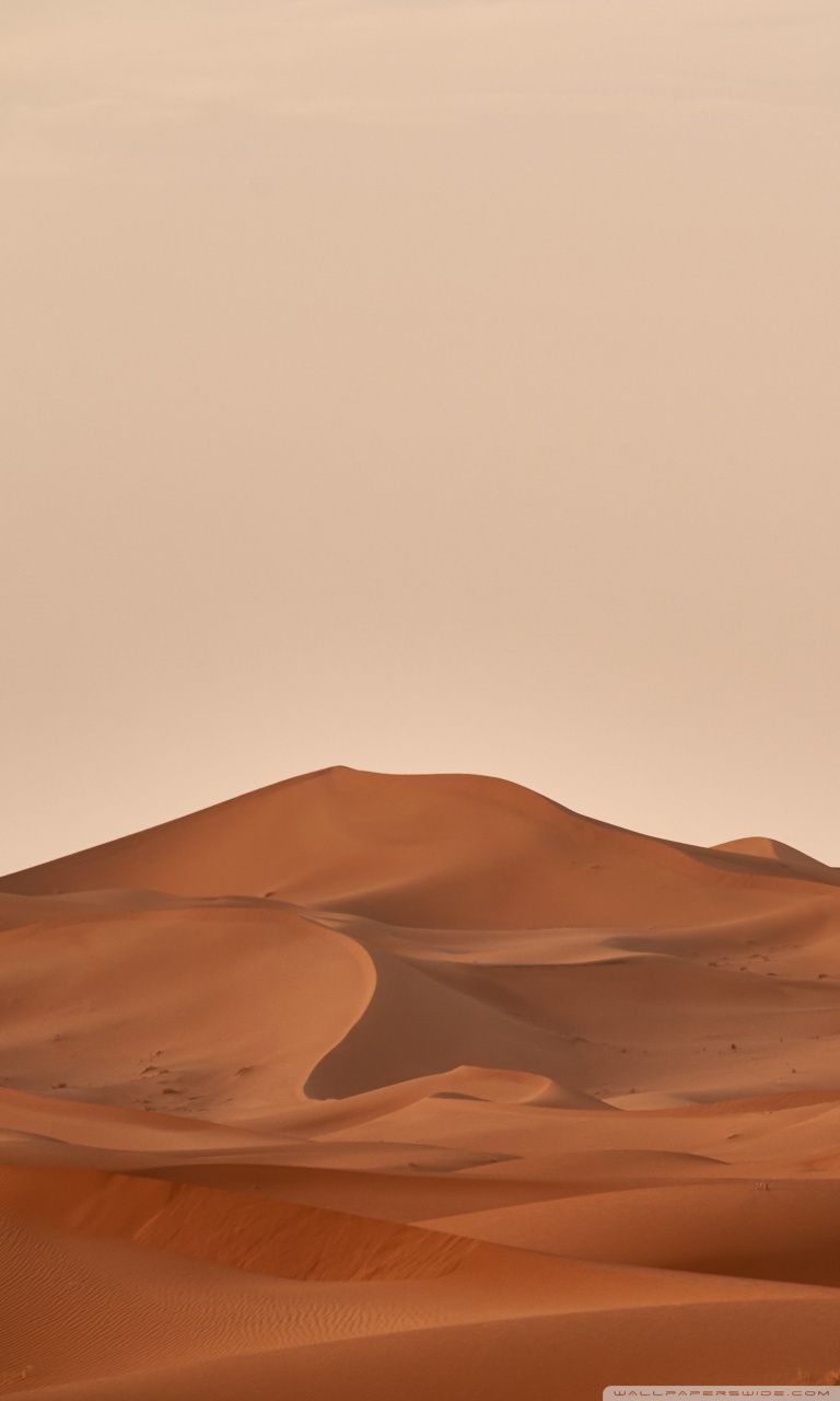 Desert Aesthetic Wallpaper