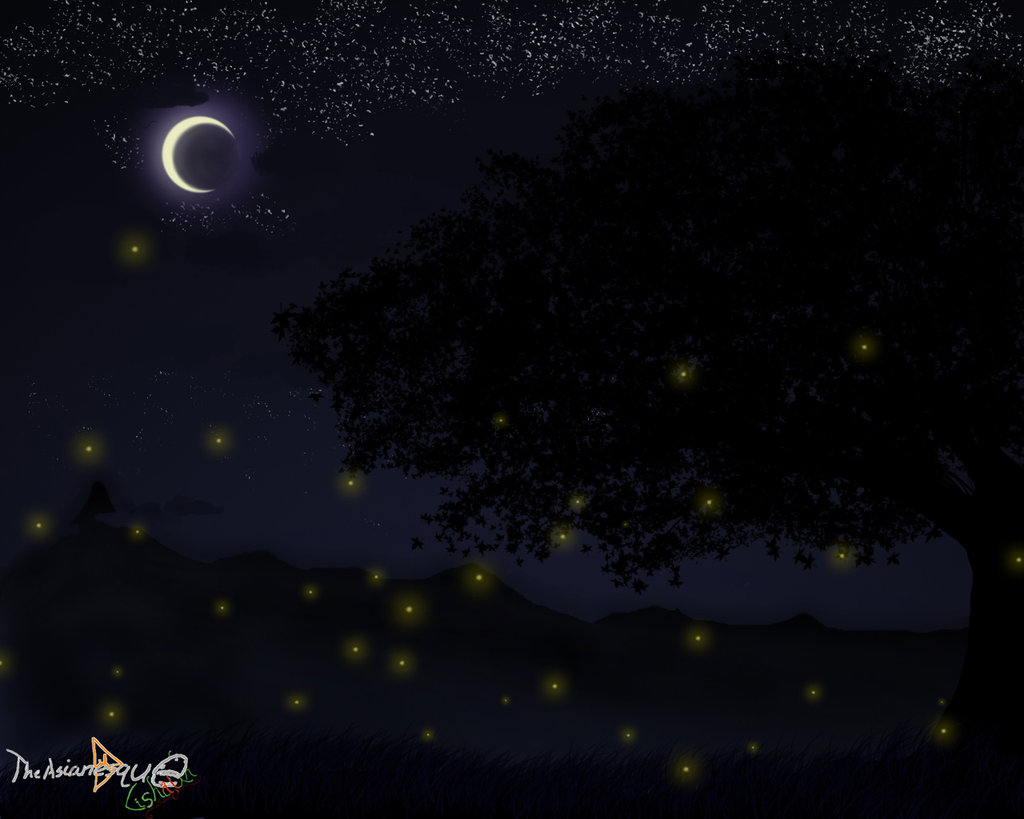 Fireflies By Lishaun