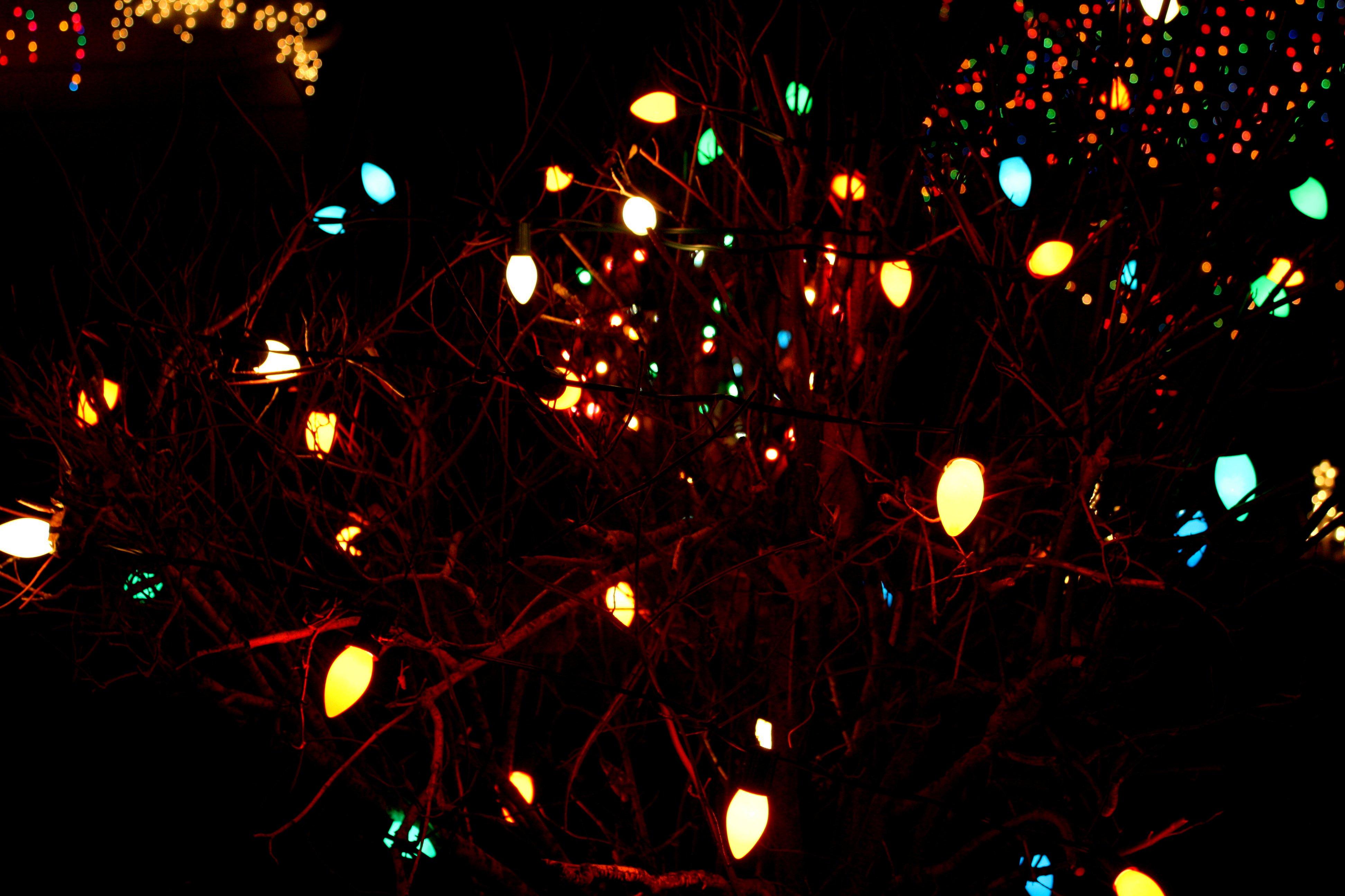 Christmas Lights At Night Picture Photograph Photos