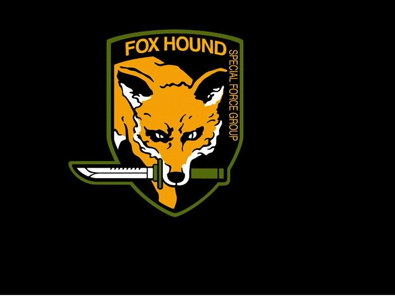 Foxhound Wallpaper