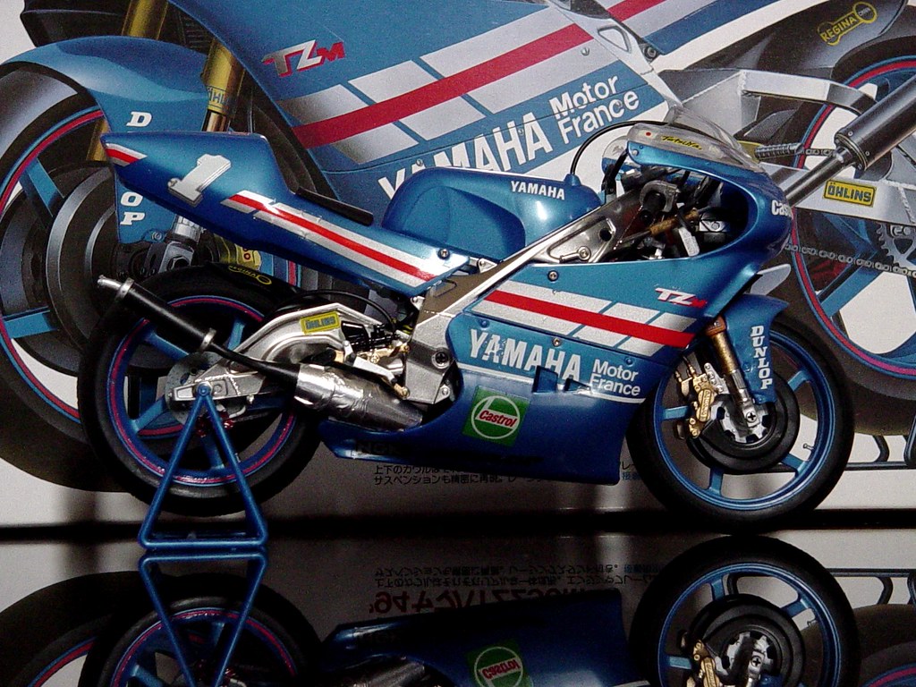 Yamaha Tzm 250cc Plastimodel Kit Tamya Cris R P