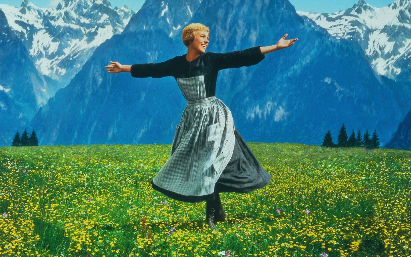 Julie Vontrapp Image The Sound Of Music HD Wallpaper And