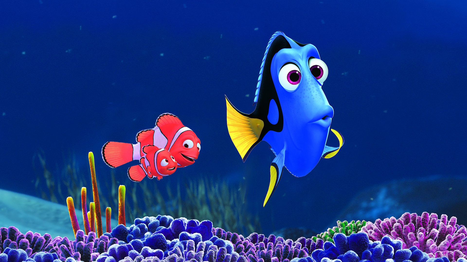 Nemo Marlin And Dory Disney Wallpaper