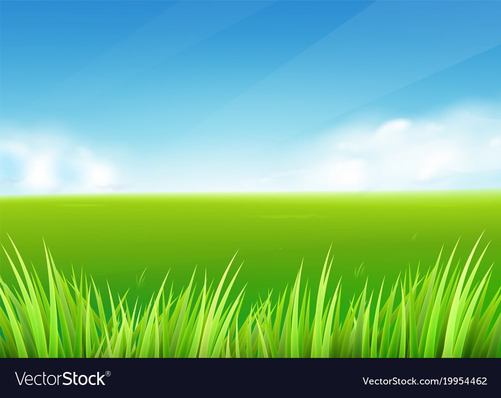 Meadow field summer or spring nature background Vector Image 1000x794
