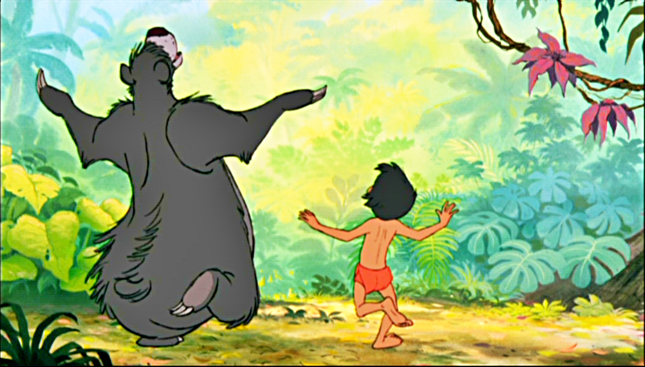 Jungle Book HD Image Wallpaper