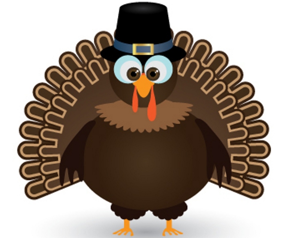 50+ Thanksgiving Turkey Wallpaper Images