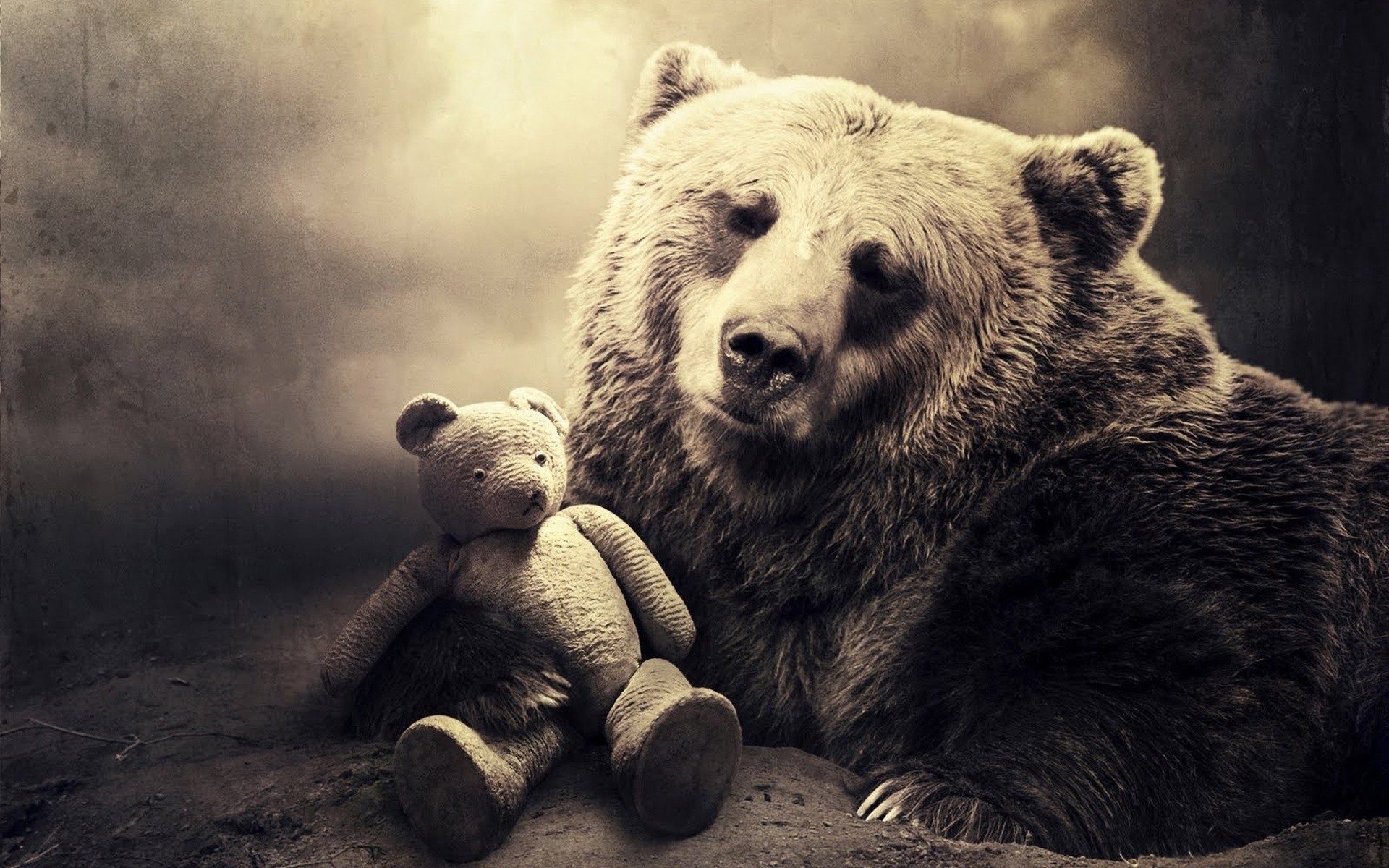 Bear Hugging A Teddy Black And White HD Wallpaper In Animals