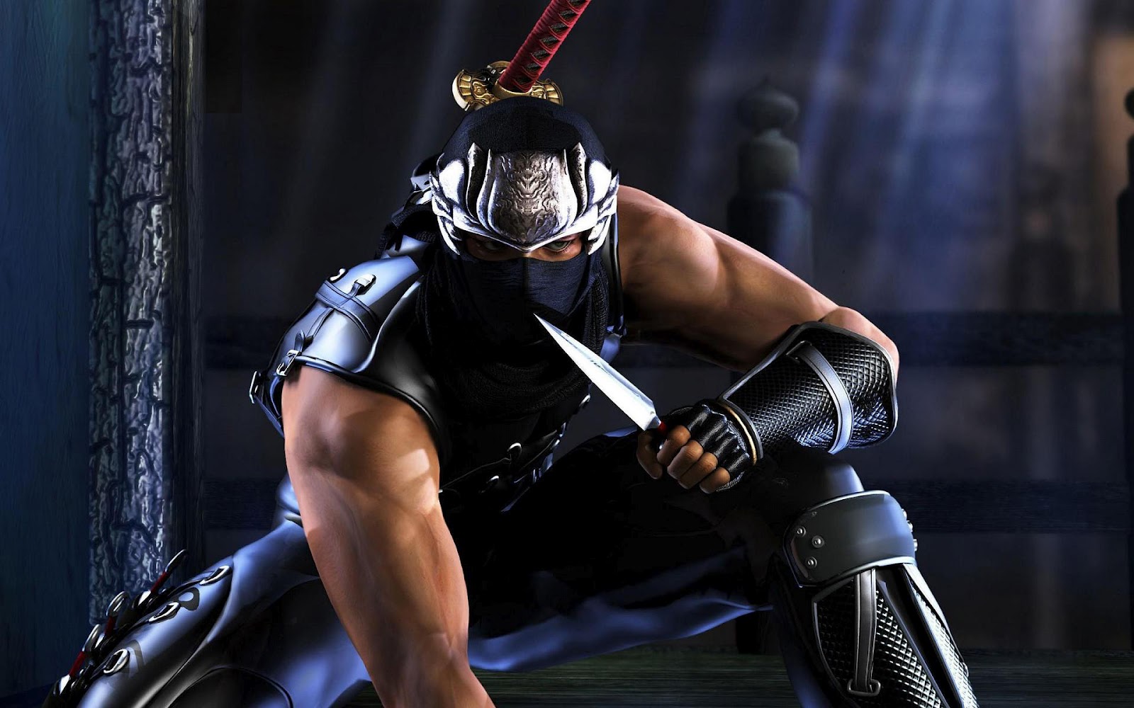 HD Game Ninja Gaiden Wallpaper Achtergrond Spel