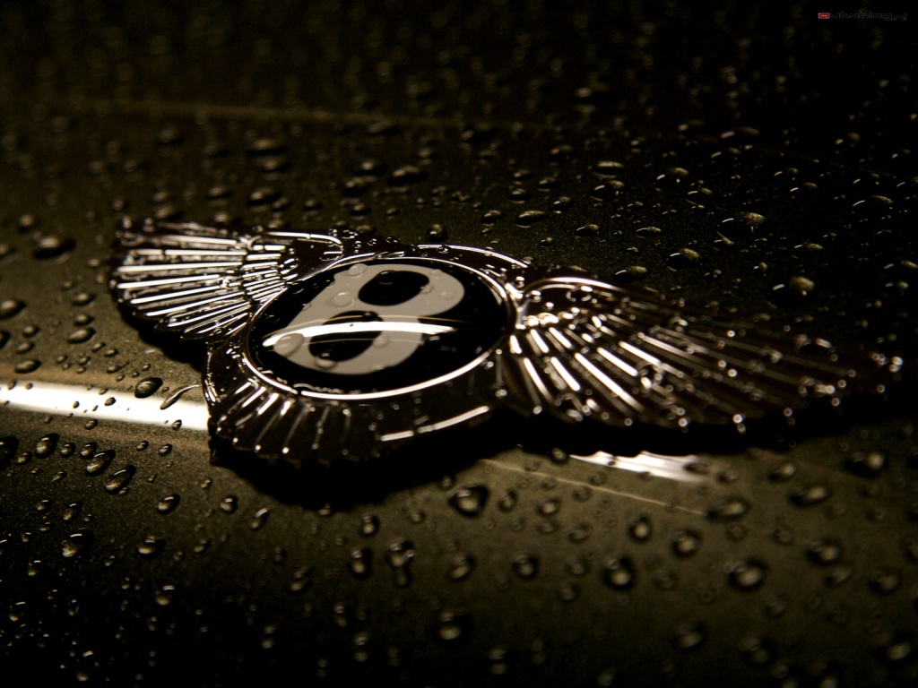 Bentley Wallpaper Logo Pictures In High Definition Or
