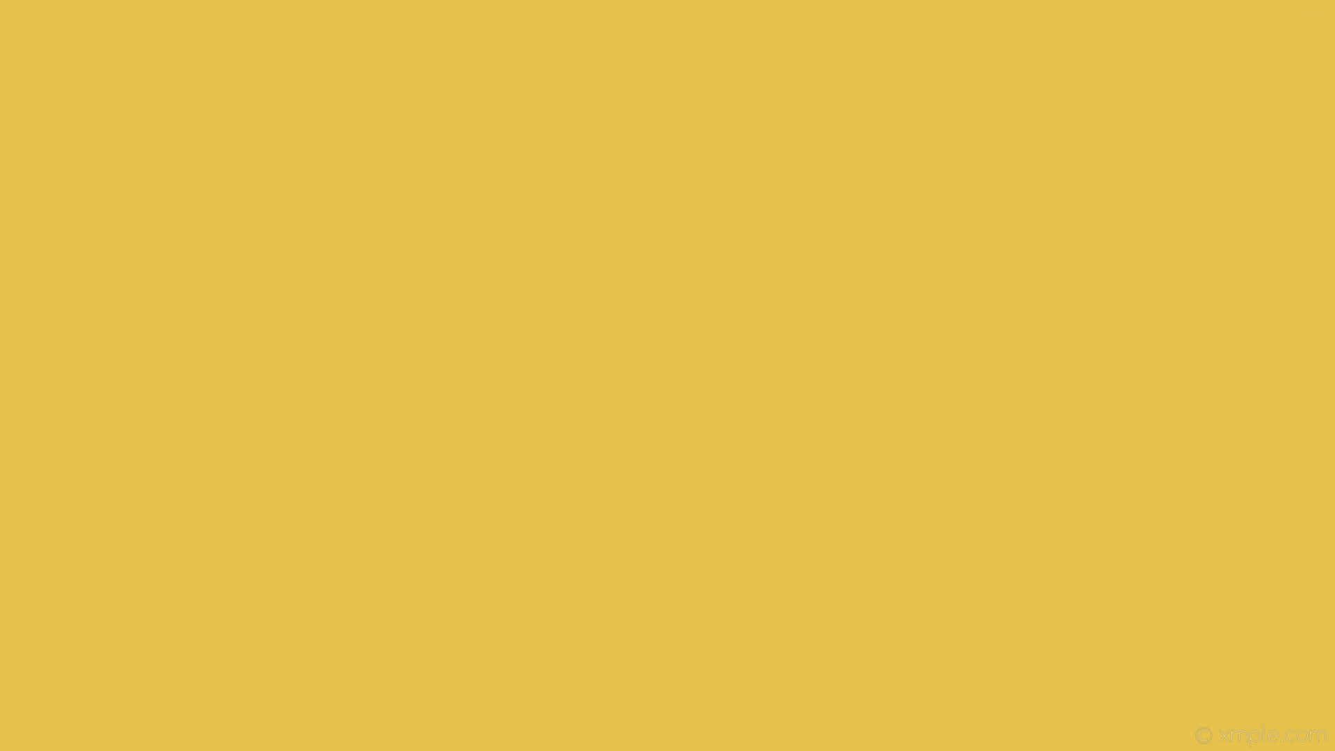 Plain Yellow Background Wallpaper