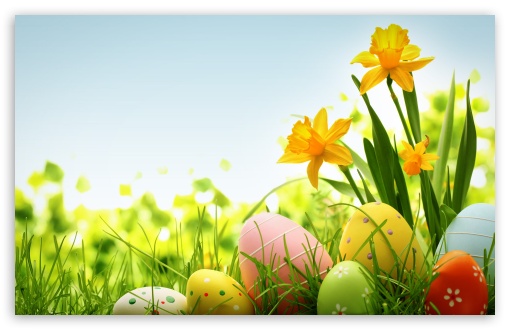 Happy Easter HD Desktop Wallpaper High Definition Fullscreen