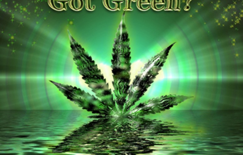 Greenish Weed Leaf HD Wallpaper
