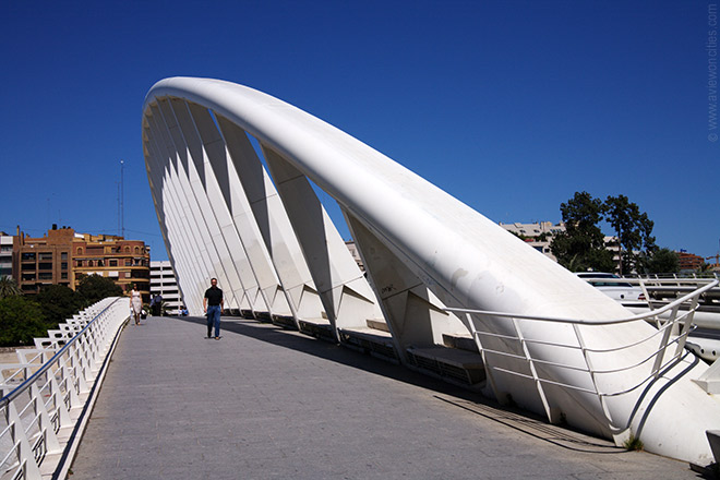 Pont De Calatrava La Peia Valencia Pictures