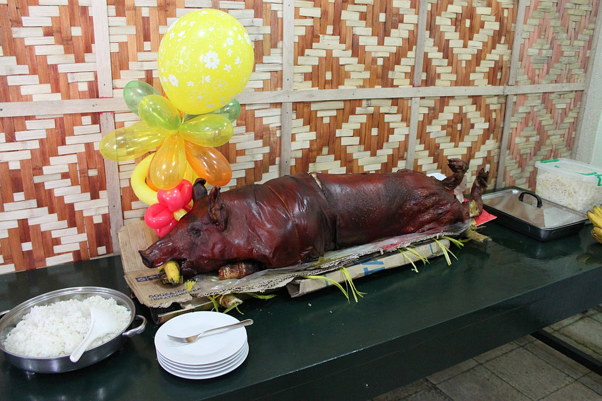 Succulent Lechon Wallpaper