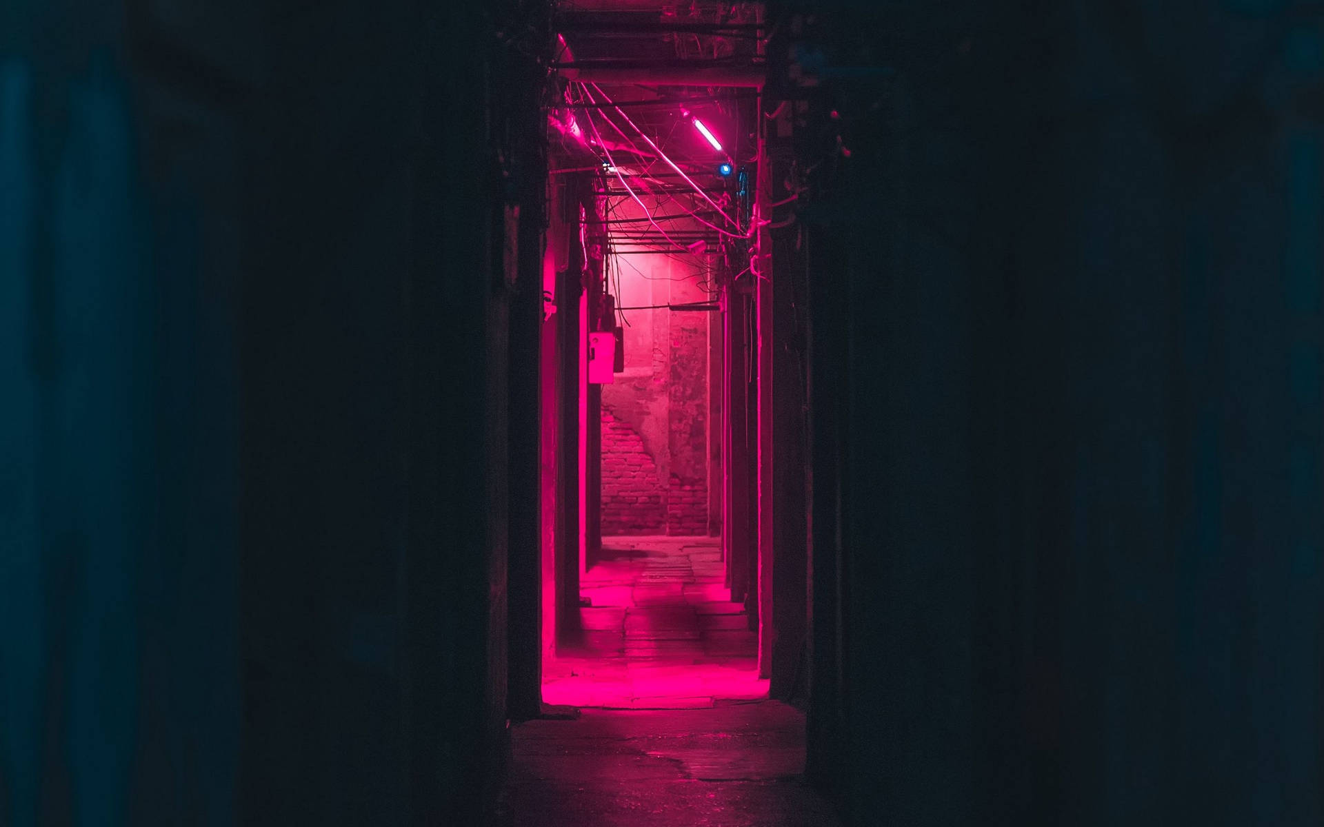 Neon Pink Aesthetic Wallpaper