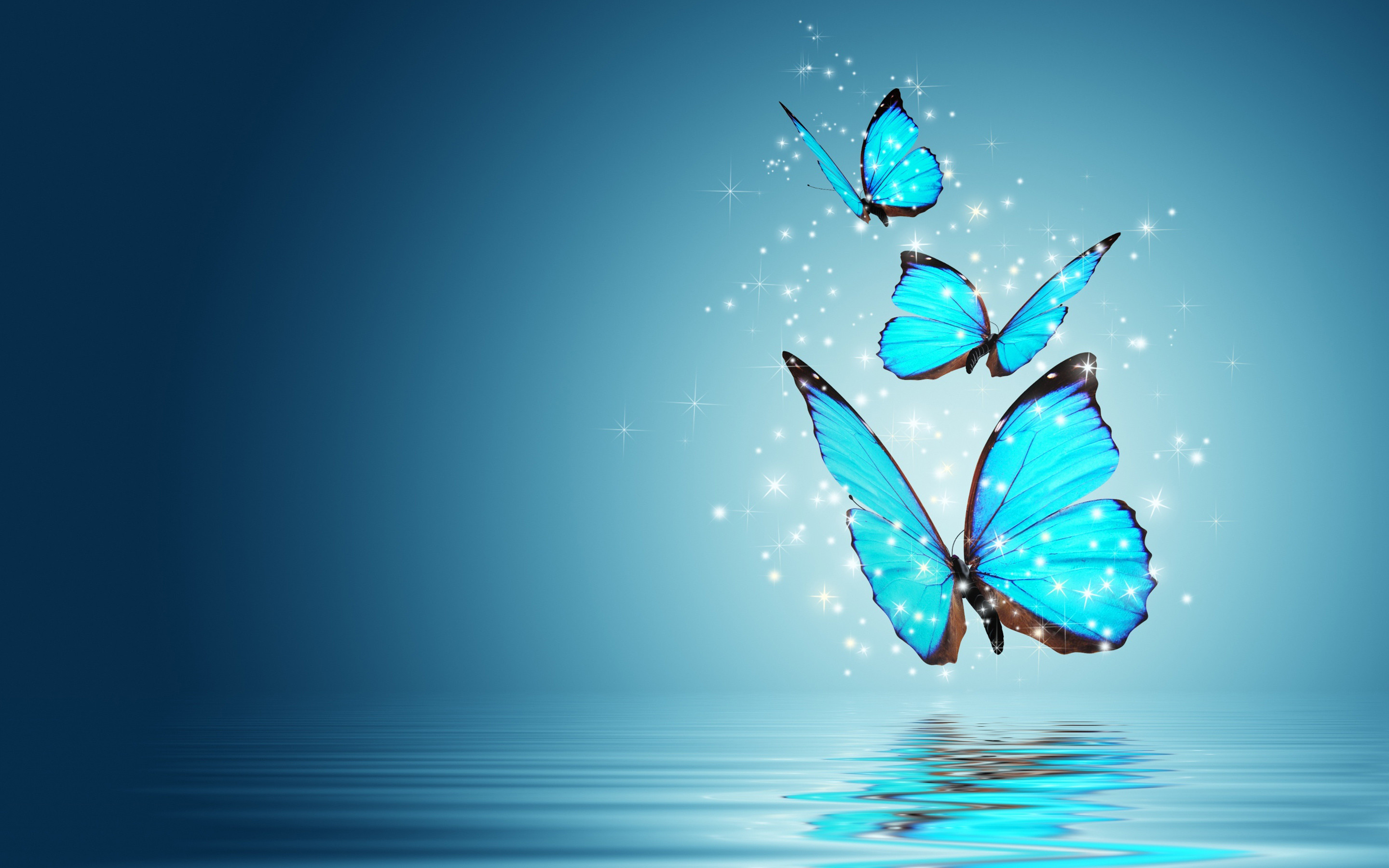 Butterfly Wallpaper For Puter Image