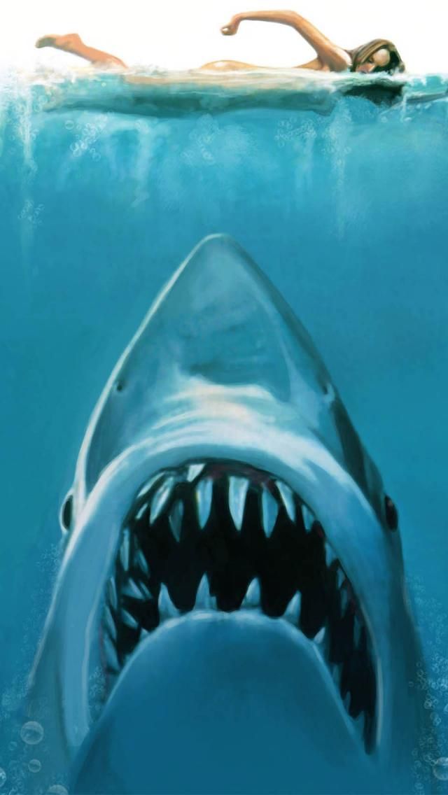 Shark Attack Painting iPhone Wallpaper And Background X