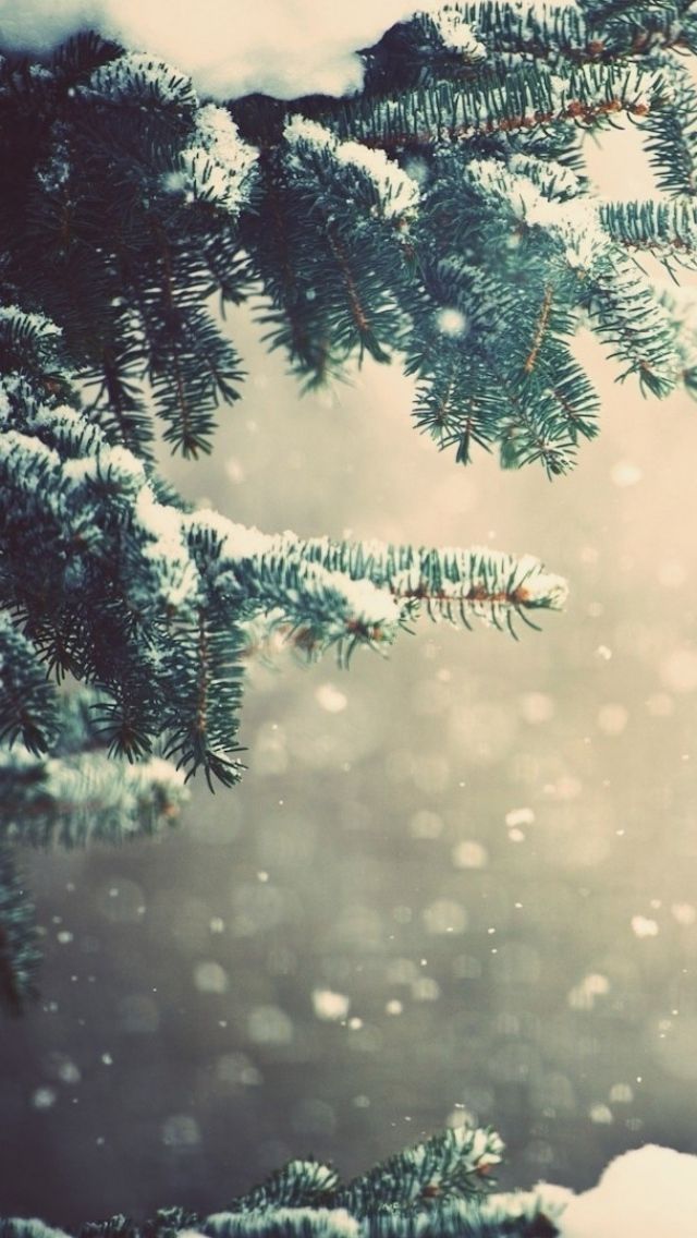Dee97a16e19b22f9c3f667bde8882a8a Wallpaper