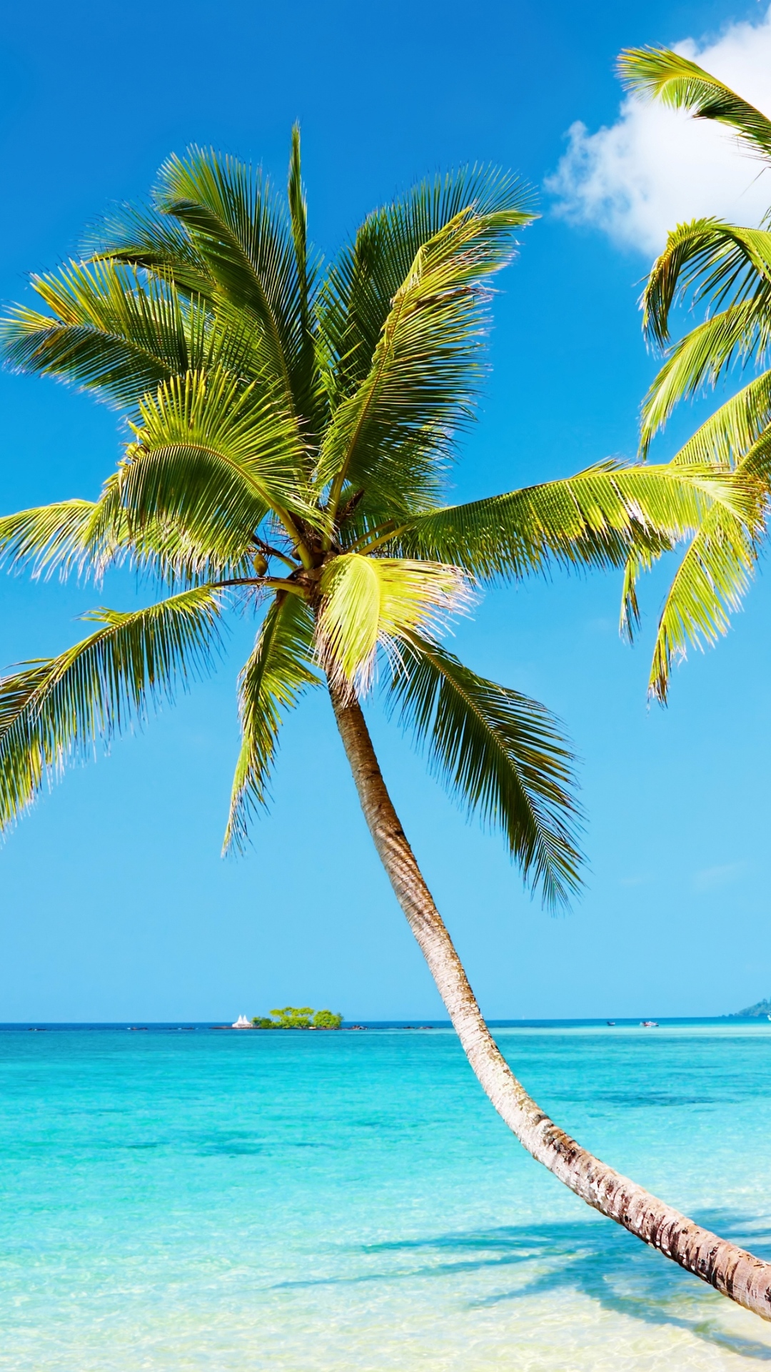Beach iPhone Background Wallpaper