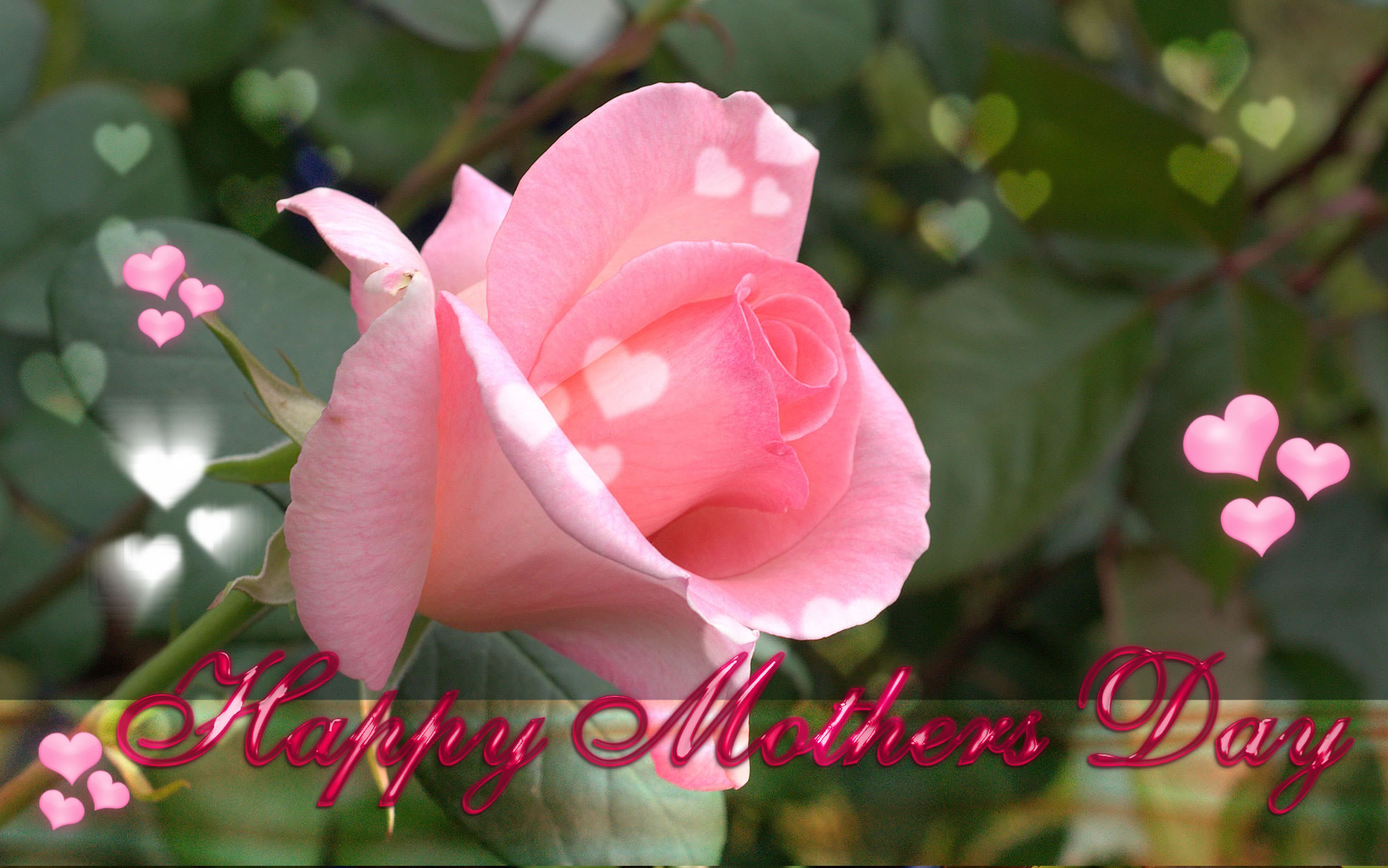 Mothers Day Wallpaper An Exquisite Collection Of