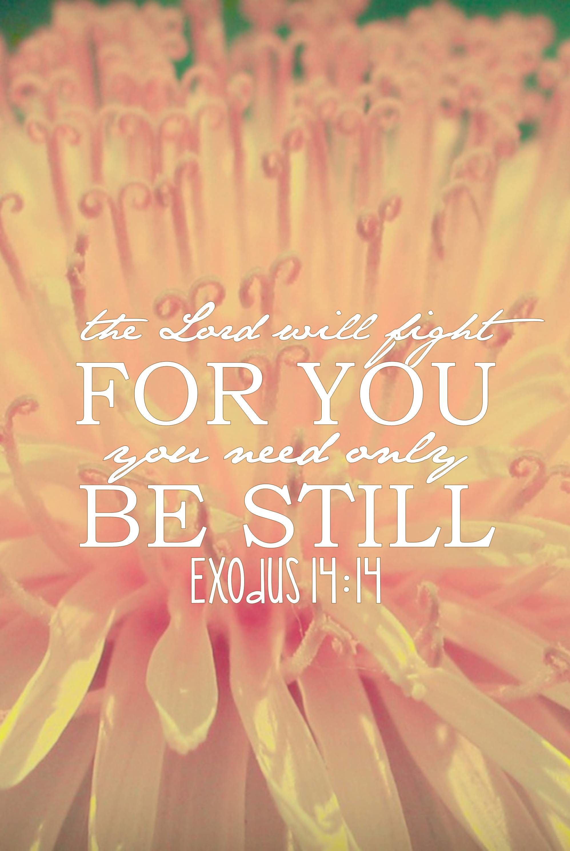 A close-up image of a delicate pink flower with the Bible verse Exodus 14:14 overlaid: 