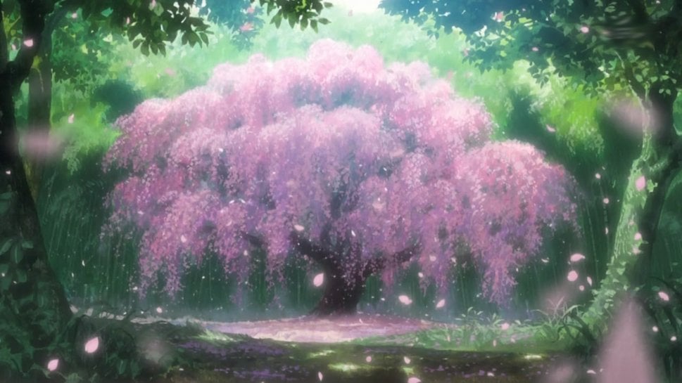 41 Anime Cherry Blossom Wallpaper  WallpaperSafari