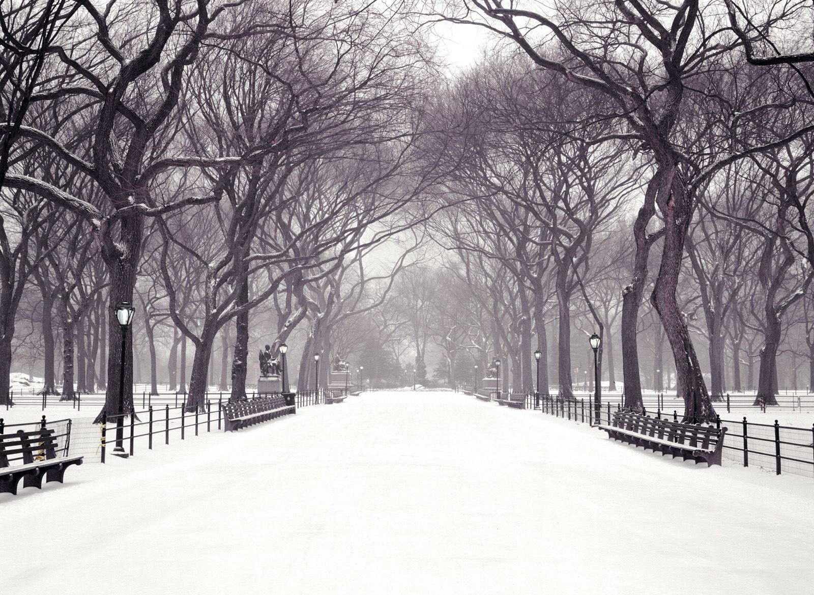 Snowy Central Park Wallpapers Snowy Central Park Myspace Backgrounds
