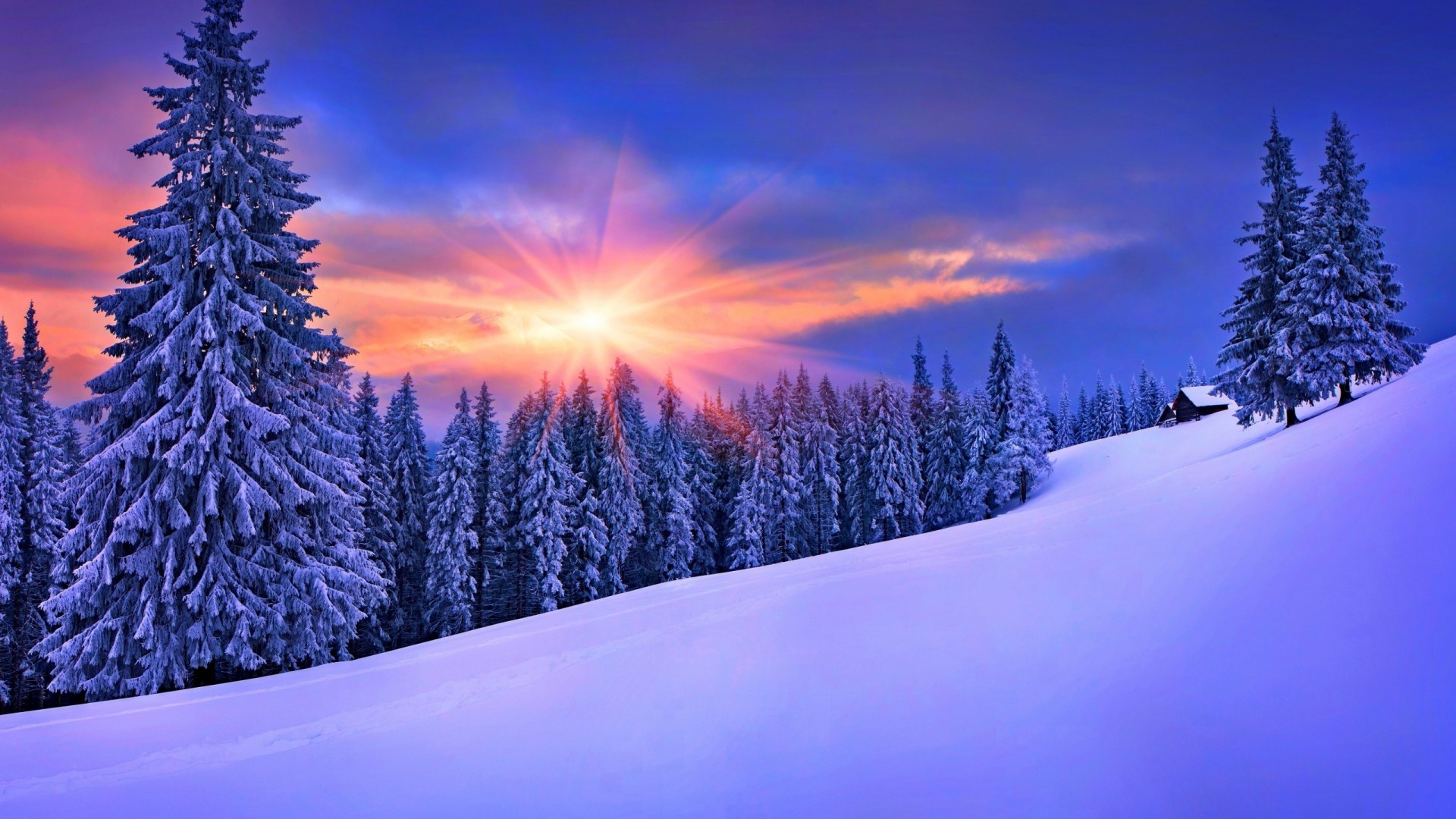 Nature Winter Landscape Snow Wallpaper HD Desktop
