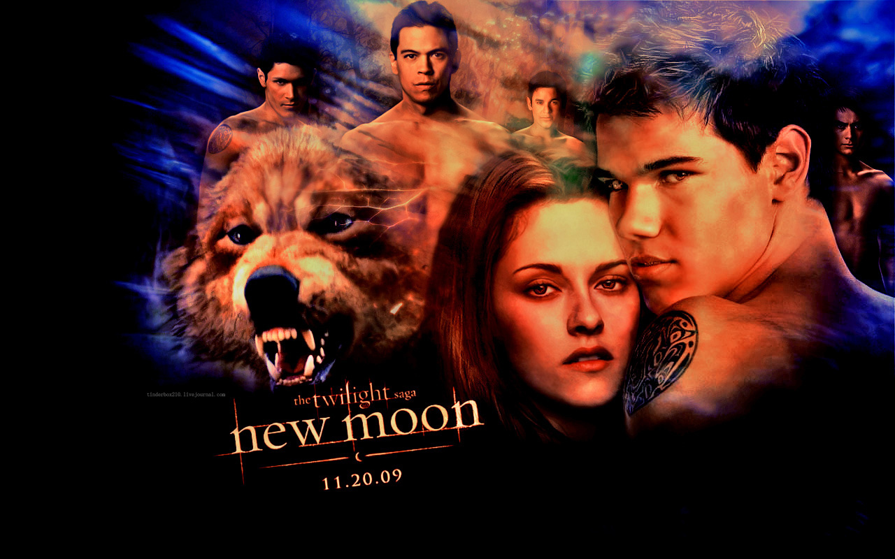 Bella Jacob New Moon Twilight Series Wallpaper