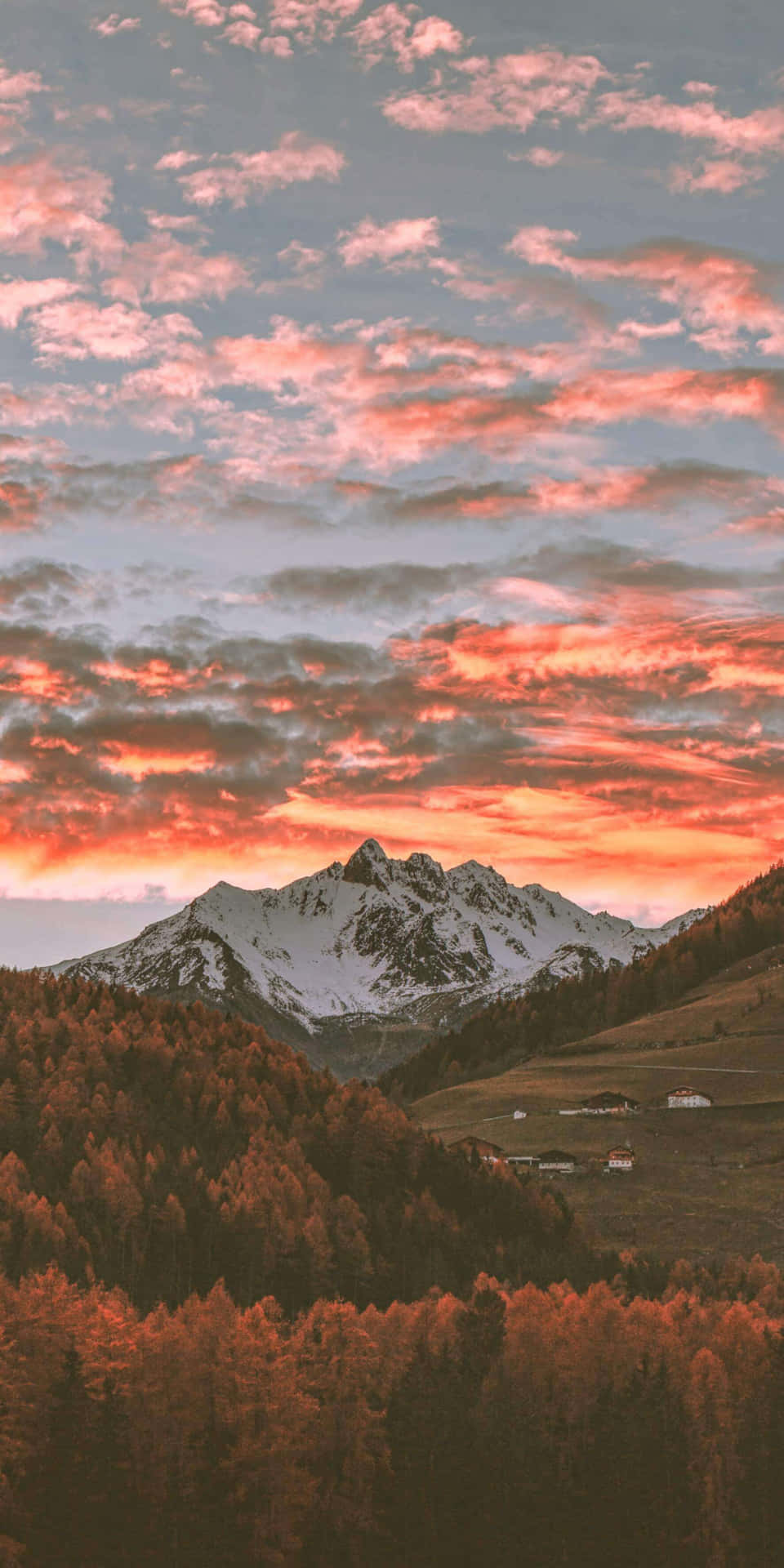 Aesthetic Nature Wallpaper