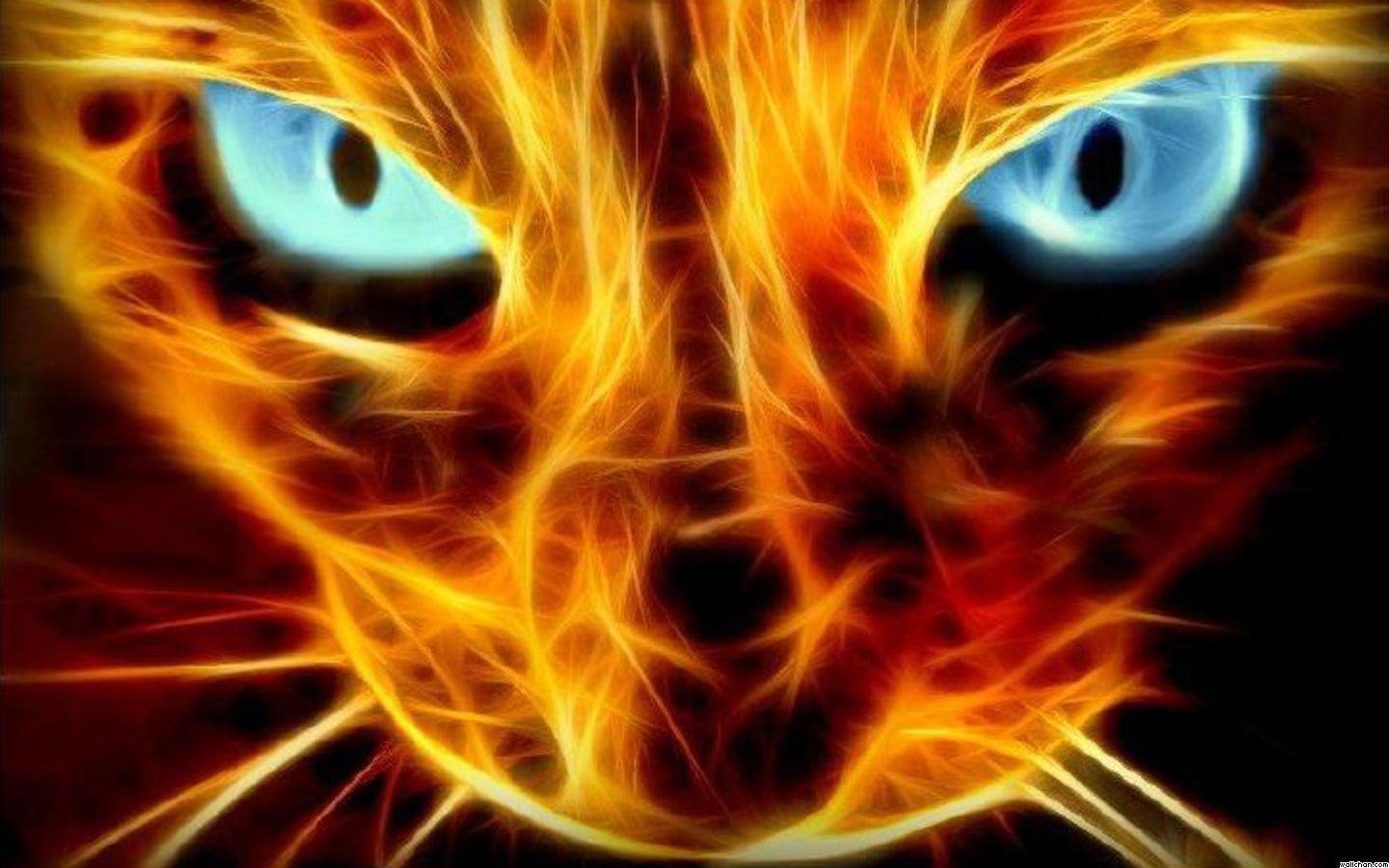 Fire Cat Jpg Art Cool Background